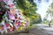 Polynesian flowers head wreaths for sale in Rarotonga Cooks Isla