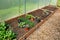 Polytunnel Construction