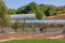 Polytunnel Greenhouse Farming