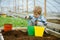 Polytunnel. polytunnel greenhouse. small boy working in polytunnel orangery. modern polytunnel planting with little