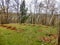 Polytunnel under construction