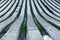 Polytunnels cloches on farm