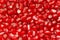 Pomegranate background