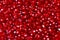 Pomegranate background.