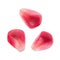 Pomegranate berries