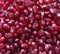 Pomegranate berries background