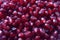 Pomegranate berries background