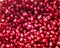 Pomegranate closeup textured food Concept