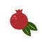 Pomegranate. Exotic tropical red fresh fruit, whole juicy garnet with green leaves, vector cartoon minimalistic style isolated