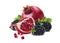 Pomegranate fruit blackberry isolated on white background