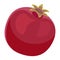 Pomegranate Fruit Design Juicy Fresh Icon Template.