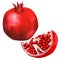 Pomegranate fruit isolated