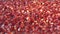 Pomegranate grains on a green background. 2 Shots. Slow motion. Horizontal pan. Close-up.
