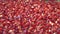 Pomegranate grains on a white background. 2 Shots. Slow motion.