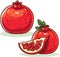 Pomegranate Hand drawn Vector. Pomegranate whole fruit and half sliced