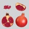 Pomegranate. Healthy natural fruits decent vector realistic illustration cut sliced pomegranate various pieces