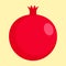 Pomegranate icon, flat style