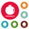 Pomegranate icons circle set vector