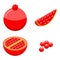 Pomegranate icons set, isometric style