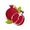 Pomegranate juicy fresh fruit vector Illustration on a white background