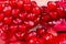 Pomegranate macro fruit red juicy fresh food, vegetarian