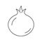 Pomegranate Outline Icon Design