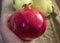 Pomegranate paintings, pictures of natural organic pomegranate fruit,