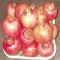 Pomegranate, Punica granatum, fruits on display.