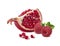 Pomegranate quarter piece raspberry isolated on white background