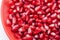 Pomegranate seed