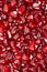 Pomegranate seed background