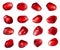 Pomegranate seed collection isolated