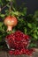 Pomegranate Seeds Hanging Whole Fruit 2