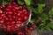 Pomegranate Seeds Leaves