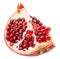 Pomegranate slice isolated on a white background