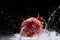 Pomegranate splashing water
