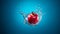 Pomegranate splashing into water against a blue background. AI generated