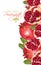 Pomegranate vertical banner