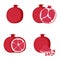 Pomegranate, whole fruit, half, slice, vector illustration