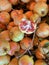 Pomegranates fruit vitamine freshness agriculture