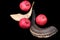 Pomegranates and a horn symbols of the Jewish new year (Rosh HaS