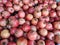 Pomegranates Packed in Shipping Crate