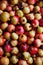 Pomegranates Packed in Shipping Crate