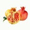 Pomegranates. Rosh hashanah (jewesh New Year) traditional symbol