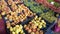 Pomegranates, tangerines, peaches, pears, grapes and various fruits in the greengrocer in the public market