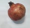 Pomegrante fruit on white background