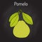 Pomelo Citrus maxima , or pamplemousse, jabong, shaddock - citrus fruit