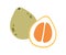 Pomelo, cut half and whole citrus fruit. Piece, cross section of exotic tropical vitamin food. Fresh ripe pomello