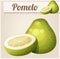 Pomelo fruit. Cartoon vector icon