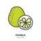 Pomelo fruit icon, filled outline style vector
